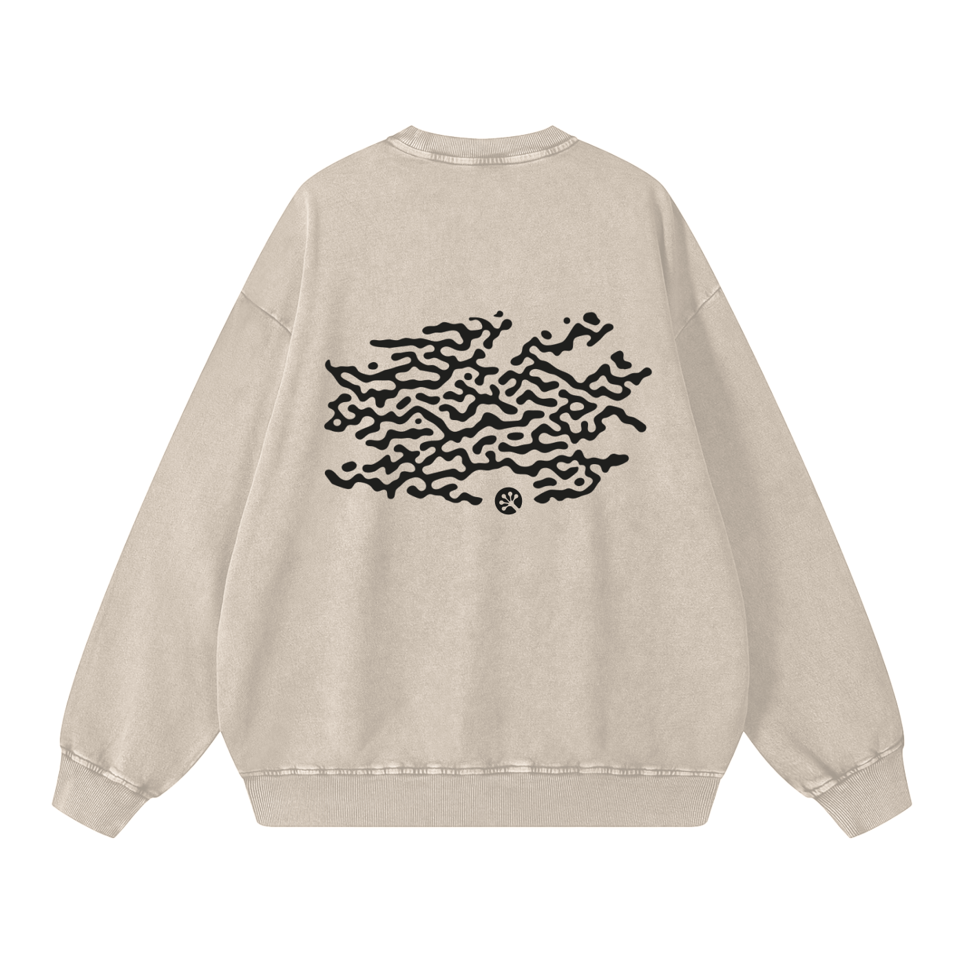 Snow Washed Oversized Sweatshirt